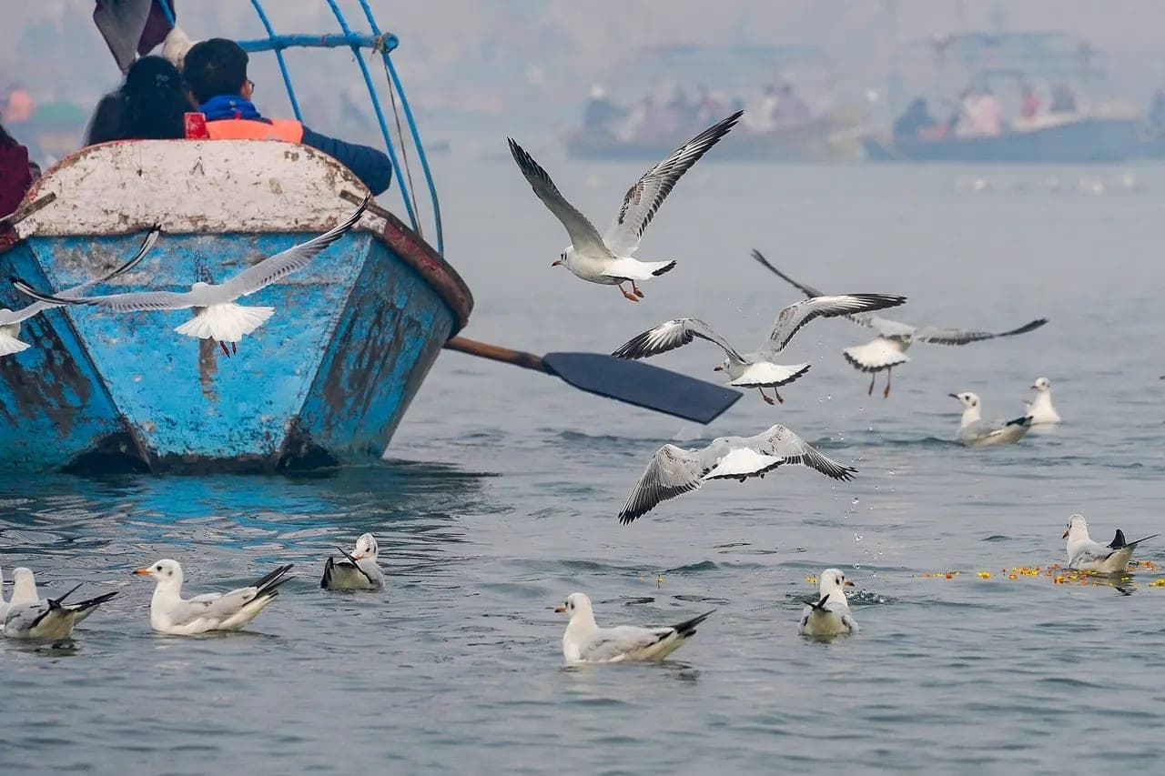 4 Days Varanasi Ayodhya Prayagraj Tour Package